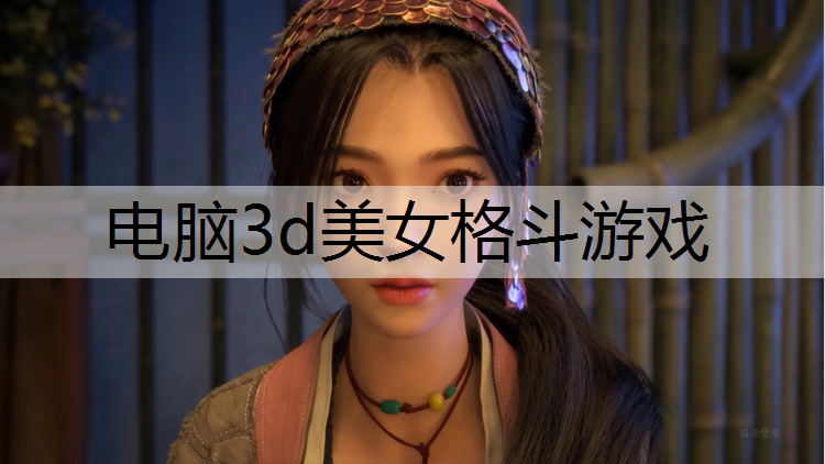 电脑3d美女格斗游戏