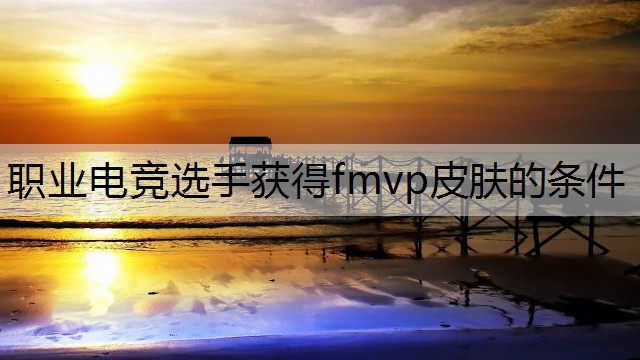 职业电竞选手获得fmvp皮肤的条件